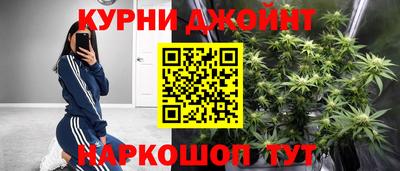дурь Кингисепп