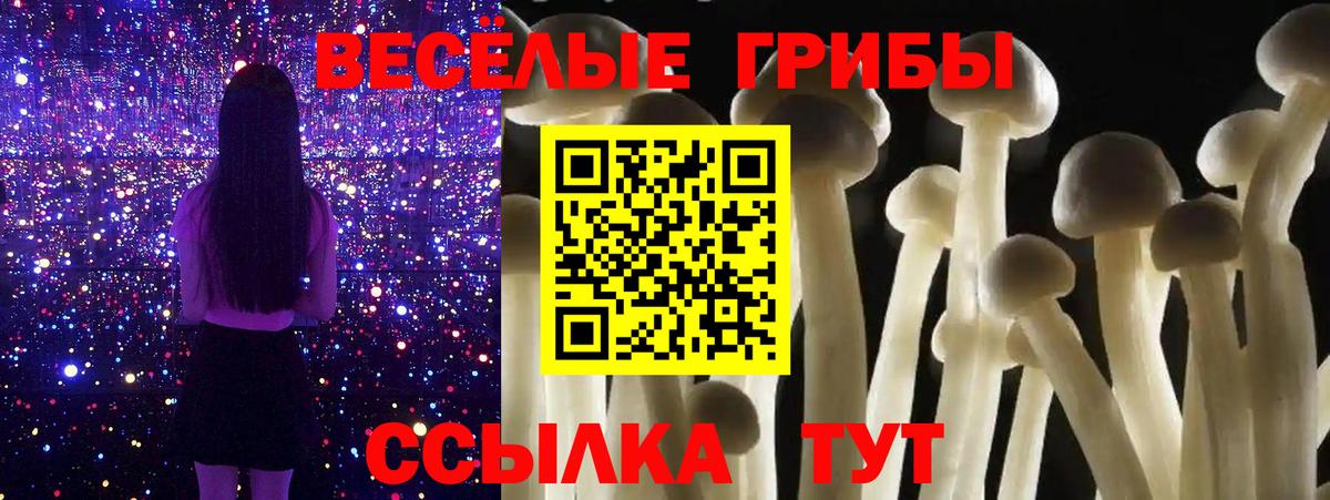 Галлюциногенные грибы мицелий Клинцы