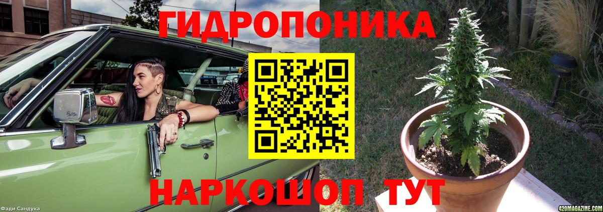 Шишки марихуана тримм  Канабис OG Kush  Клинцы  Шишки марихуана VHQ  Вход с VPN 