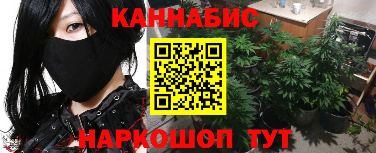 МАРИХУАНА планчик Клинцы